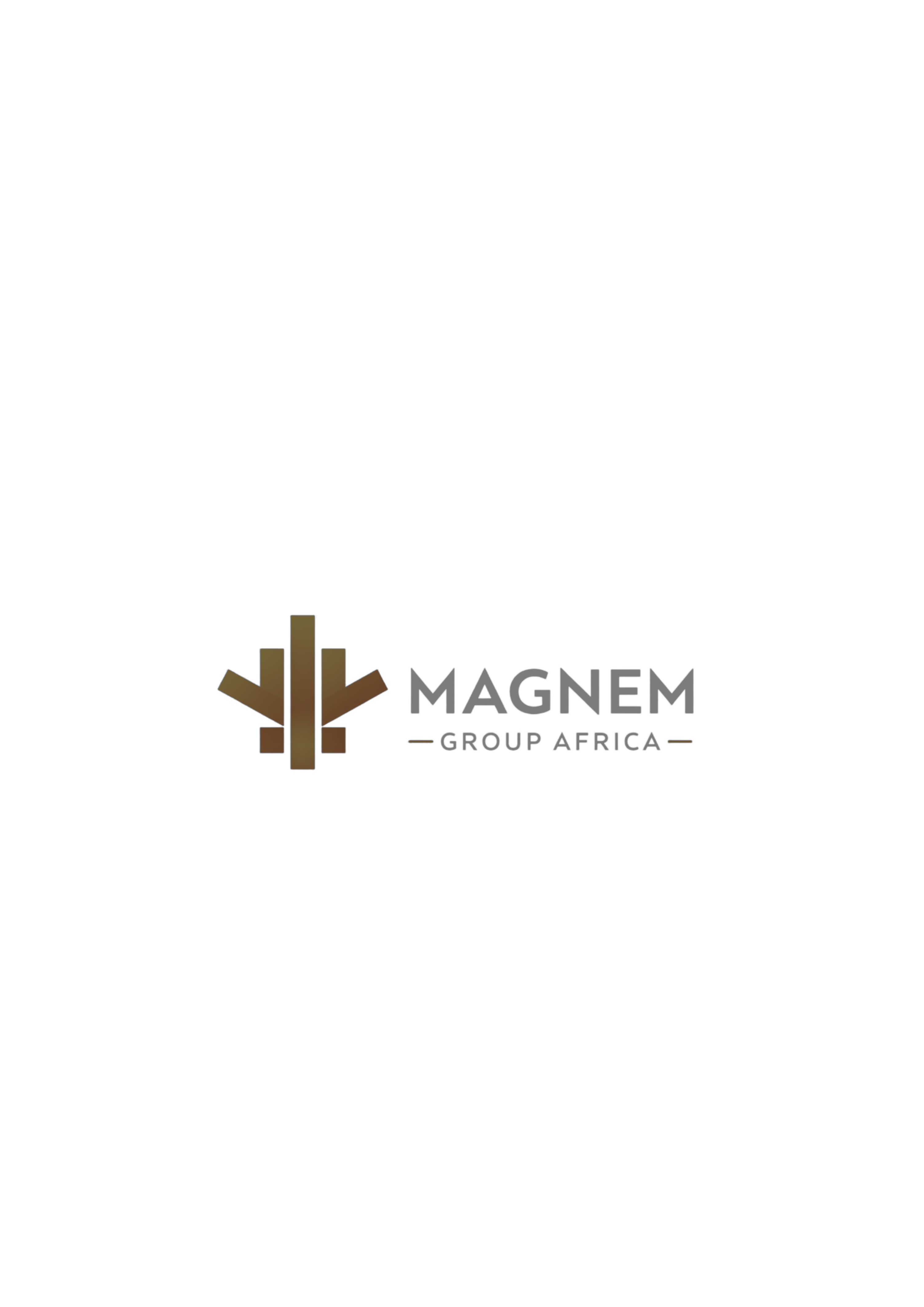Magnem Group Africa Ltd
